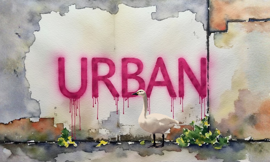 Graffiti Phone Case Designs for iPhone and Samsung